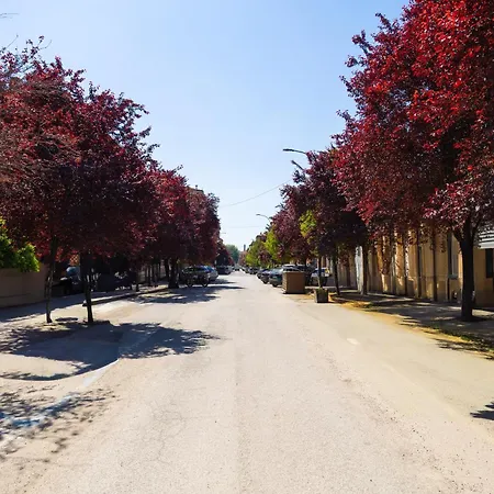 Moderno Vicino Fiera E Centro Apartment