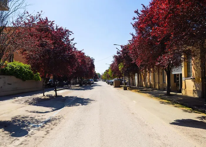 Moderno Vicino Fiera E Centro شقة